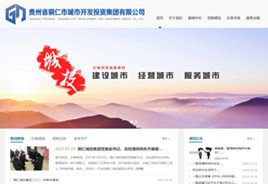 城关城市开发投资集团有限公司