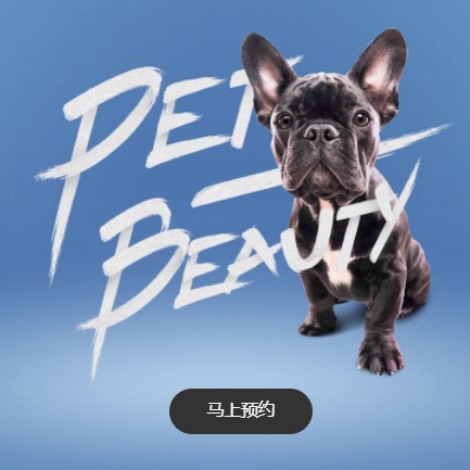 城关宠物中心小程序开发